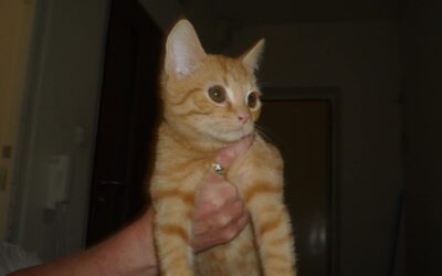 Jeremy